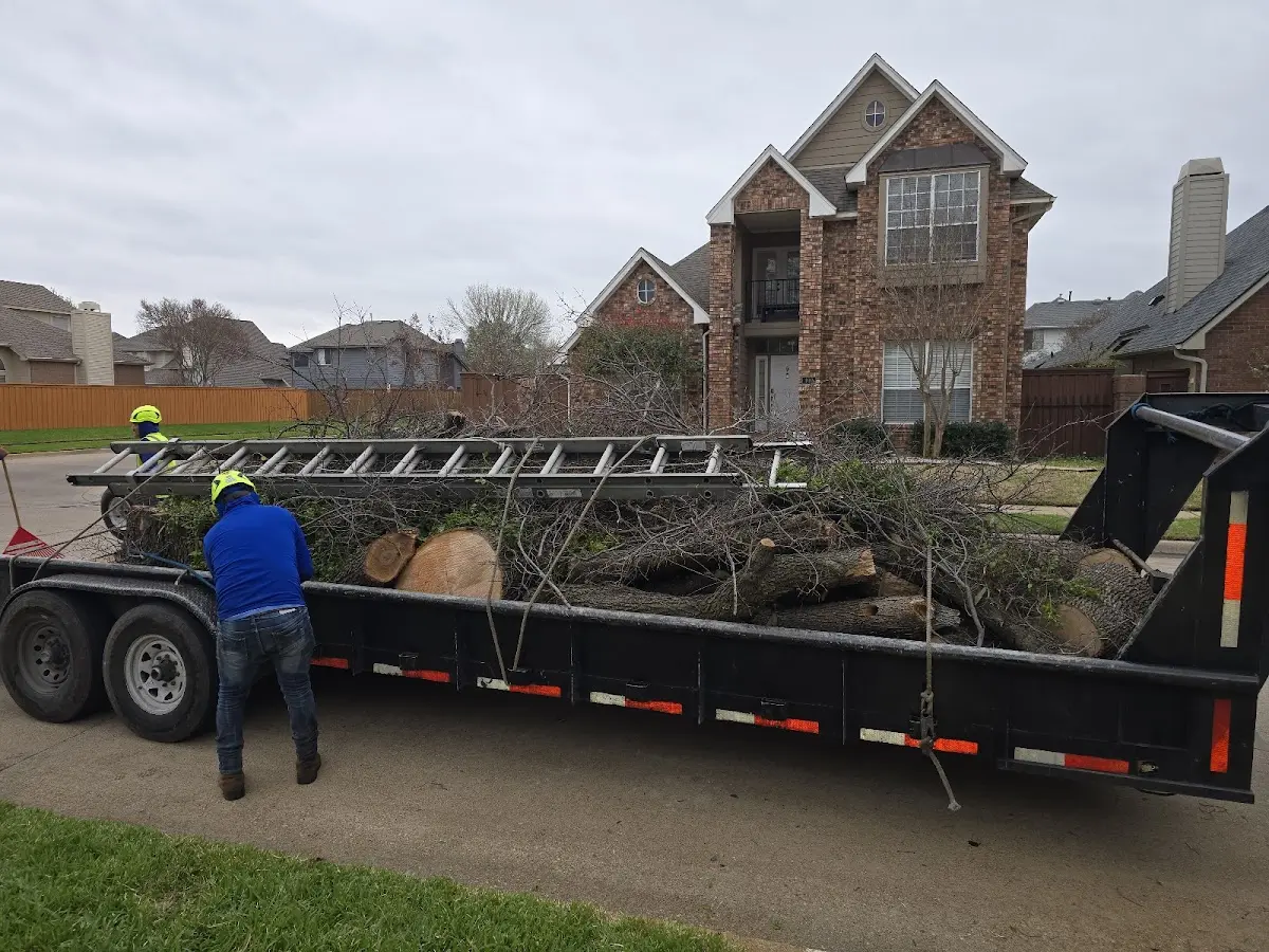 Expert Lot Clearing with proper safety equipment in Louin